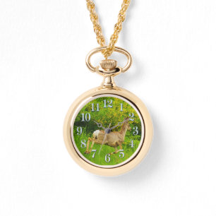Montre de faune de cerfs et graminées de Virginie