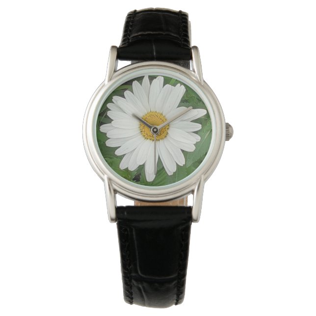 Montre de marguerite blanche (devant)