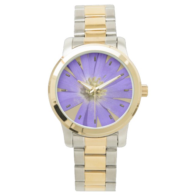 Montre de marguerite mauve de marguerite (devant)