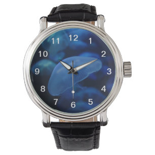 Montre de méduses de lune