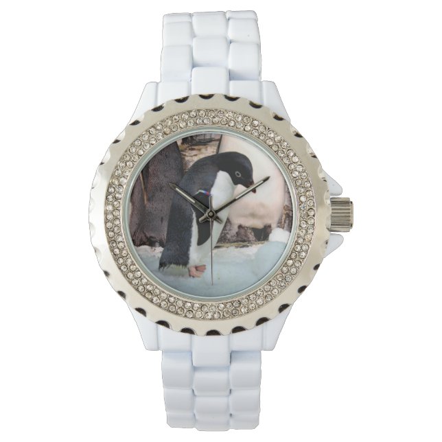 Montre de pingouin- Plusieurs styles à choisir de (devant)