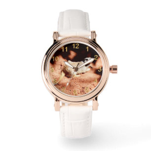 Montre Découvertes Dusty : Meerkat avec la jupe sur son n