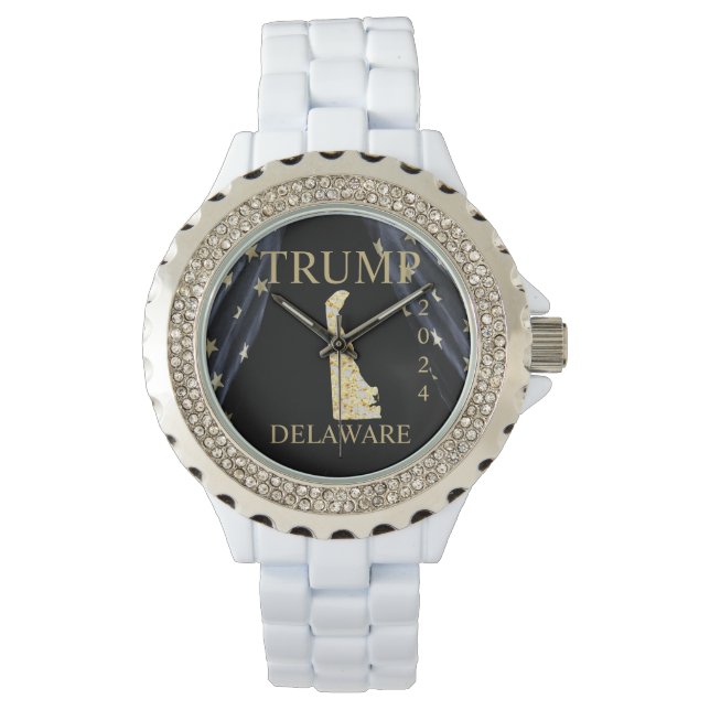 MONTRE DELAWARE  (devant)