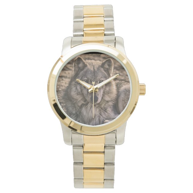 Montre Design de la faune du loup gris (devant)