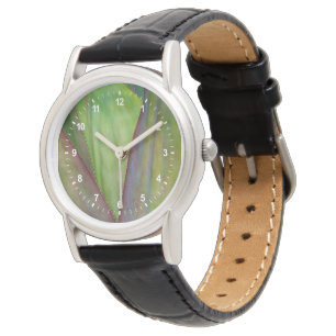 Montre Détail de la plante d'Agave