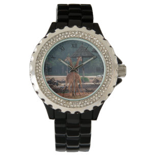 Montre deux girafes amoureuses