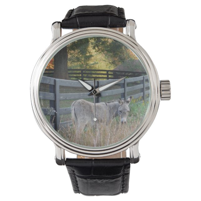 Montre Donkey dans un champ d'automne (devant)