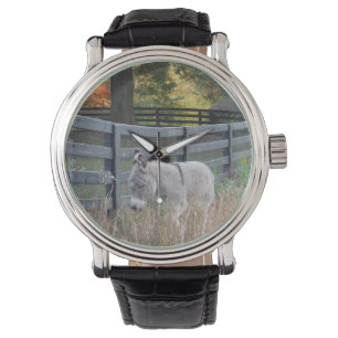 Montre Donkey dans un champ d'automne