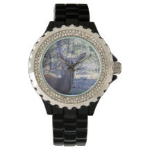 Montre d'orignal