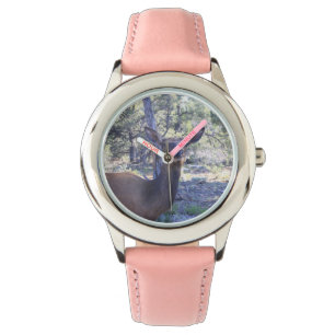Montre d'orignaux