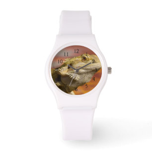 Montre Dragon barbu (Pogona Vitticeps) sur la branche,