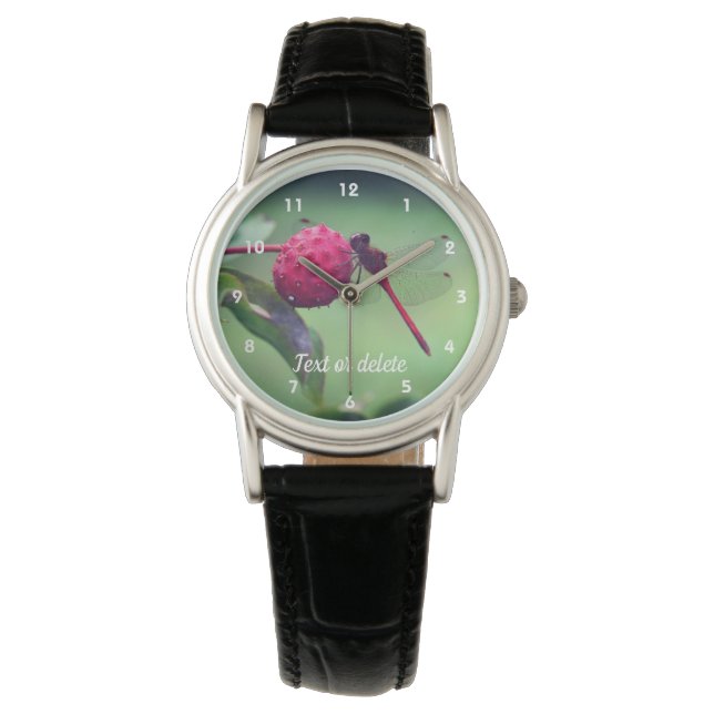 Montre Dragonfly rouge sur le fruit de bois de chien Pers (devant)