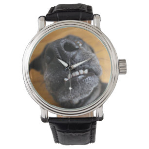 Montre du gril du gauchiste