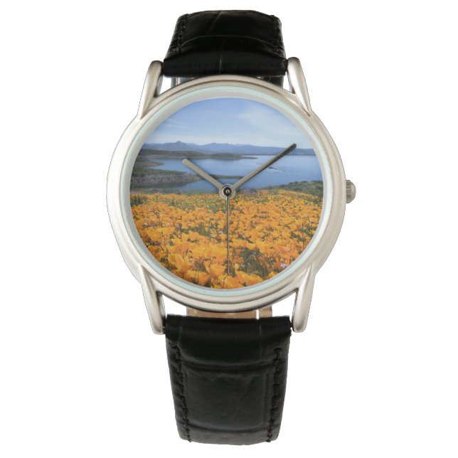 Montre Eau | Lac California Avec Des Pépites D'Or (devant)