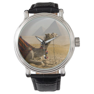Montre Egypte, Le Caire. Un chameau solitaire