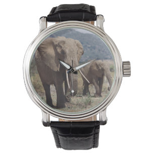 Montre Éléphant mère marchant avec un éléphant jeune