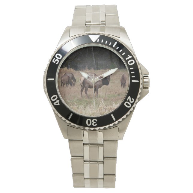 Montre Elk Wrist (devant)