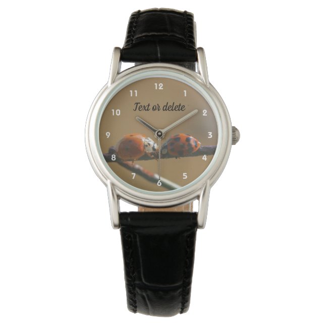 Montre Embrasser Ladybugs Sur Une Clôture De Fil Personna (devant)