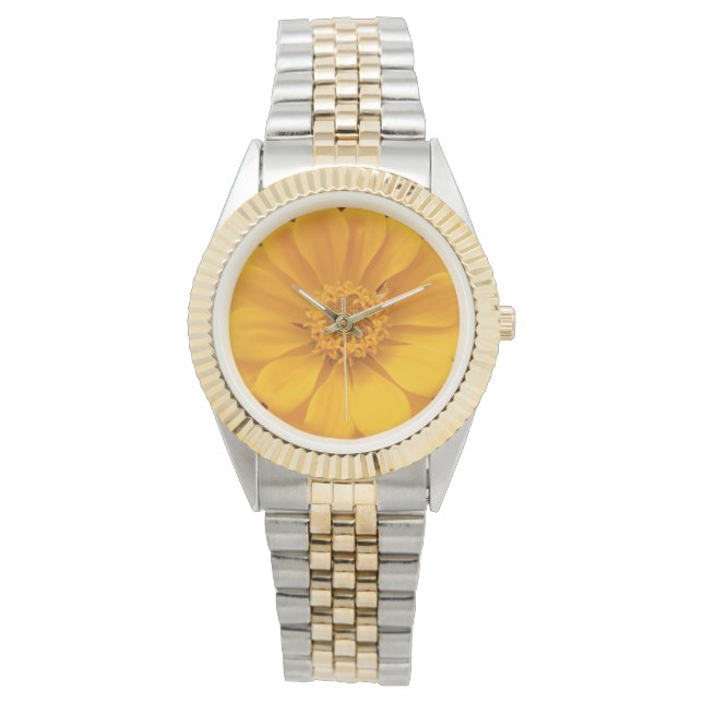 Montre Emmer (devant)