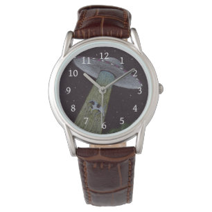 Montre Enlèvement d'Aliens