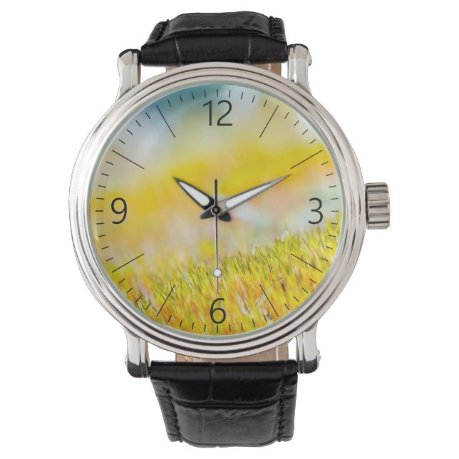 Montre Épouses colorées (devant)