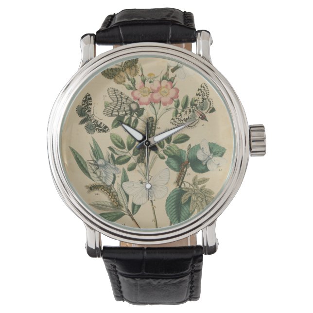 Montre Étapes de la vie des papillons par Vision Studio (devant)