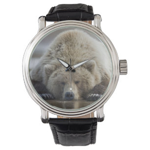 Montre États-Unis, Alaska, Parc national de Katmai, Ours