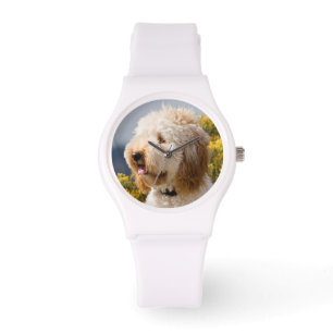 Montre États-Unis, Californie. Portrait de Labradoodle 3
