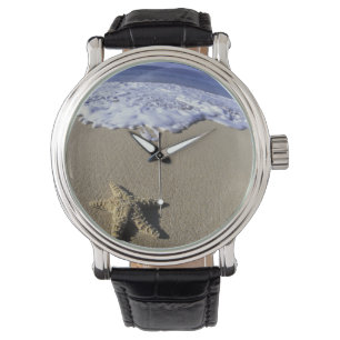 Montre États-Unis, Hawaï, Maui, Makena Beach, Étoile de m