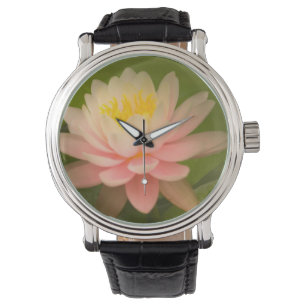 Montre États-Unis, Maryland, Westminster, Union