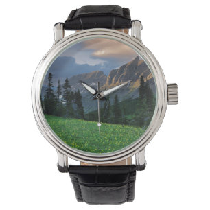 Montre États-Unis, Montana, Glacier National Park, Logan