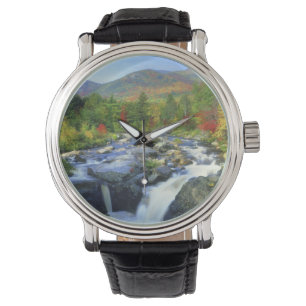 Montre États-Unis, New York. Une cascade dans l'Adirondac