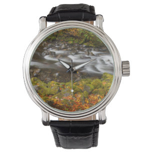 Montre États-Unis, Oregon, Gorge du Columbia, Tanner Cree