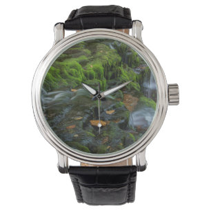 Montre États-Unis, Pennsylvanie, Benton, Ricketts Glen St