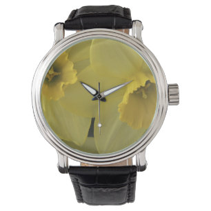 Montre États-Unis, Utah, jonquilles de Cache Valley