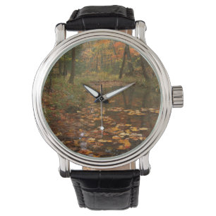 Montre États-Unis, Virginie, Automne au parc d'État de Do