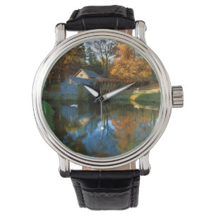 Montre États-Unis, Virginie, Blue Ridge Parkway, Mabry Mi