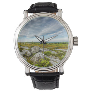 Montre États-Unis, Virginie-Occidentale, Davis. Paysage à
