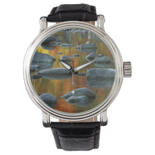 Montre États-Unis, Virginie-Occidentale, Spruce Knob-Sene