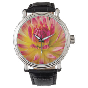 Montre États-Unis, Washington. Détail de la fleur de dahl