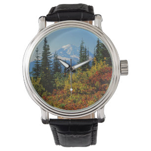Montre États-Unis, Washington, Parc national du mont Rain