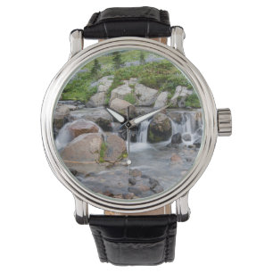 Montre États-Unis, Washington, Parc national du mont Rain