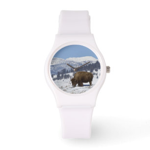 Montre États-Unis, WY, parc national de Yellowstone, Biso
