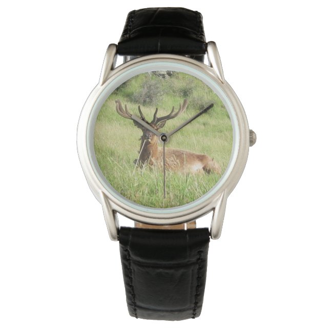 Montre Étiquettes de la Nouvelle-Zélande (devant)