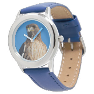 Montre Étonnant oiseau de proie à queue rousse au soleil