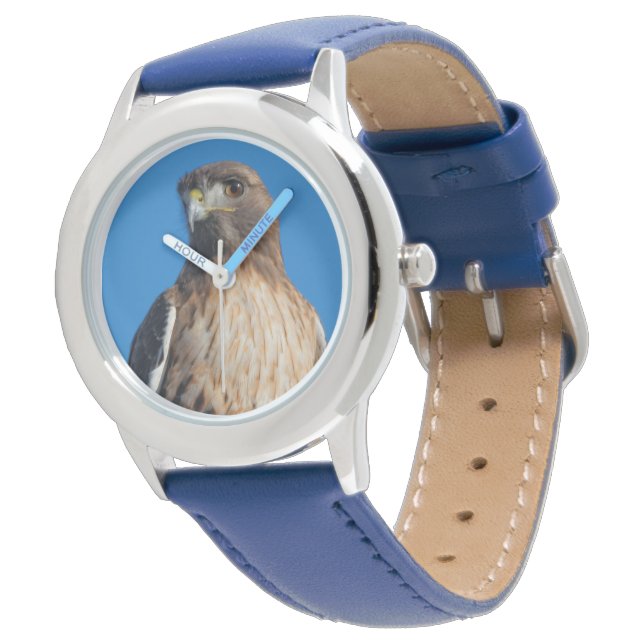 Montre Étonnant oiseau de proie à queue rousse au soleil (Incliné)