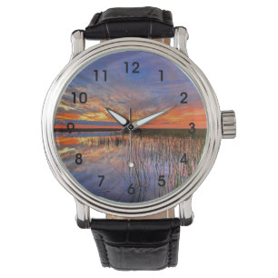 Montre Everglades colorés, Floride,