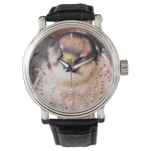 MONTRE FALCON