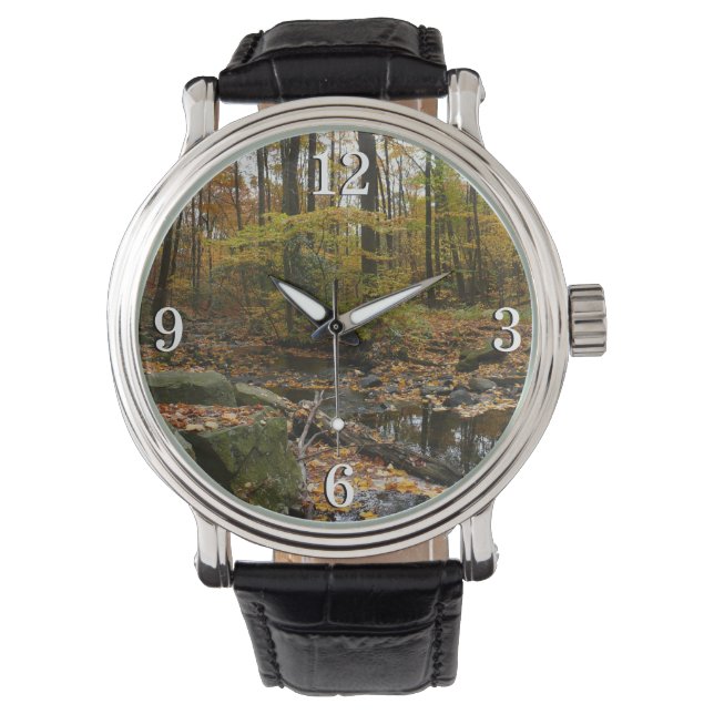 Montre Fall Creek avec réflexion à Laurel Hill Park (devant)
