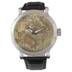 Montre Famille des oeufs de poisson - cerfs communs dans